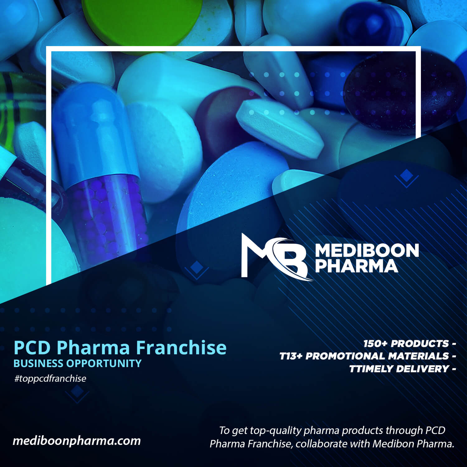 Read more about the article PCD Pharma Franchise in Thane